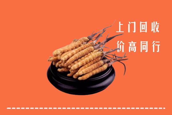 高价求购：定西市临洮回收散虫草
