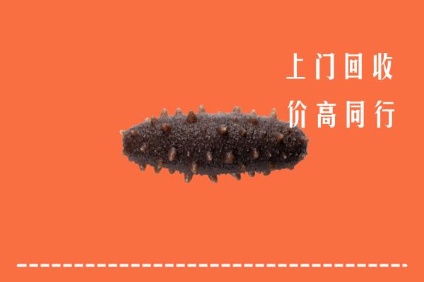 定西市临洮回收海参