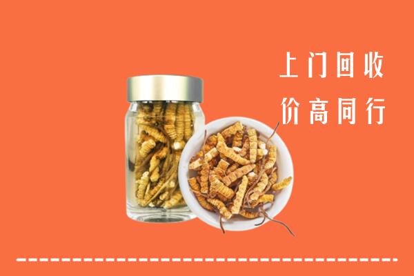 定西市临洮回收冬虫夏草