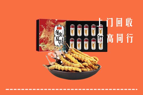 定西市临洮回收虫草